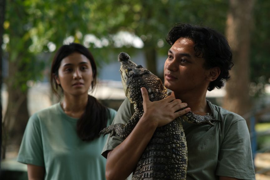 060526 Crocodile Tears1 01