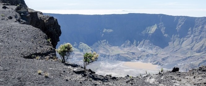 Tambora